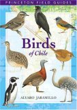 Birds of Chlle